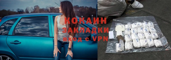 2c-b Бородино