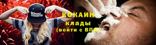 2c-b Бородино