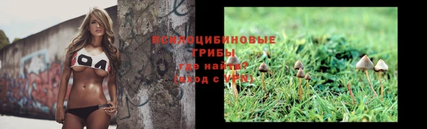 гидра Галич