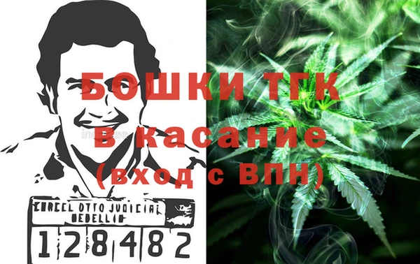 2c-b Бородино