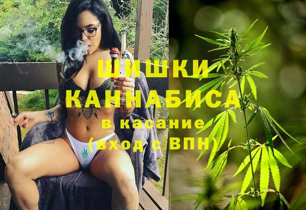 2c-b Бородино