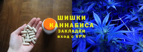 2c-b Бородино