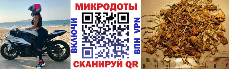 Псилоцибиновые грибы ЛСД  hydra ONION  Зима 