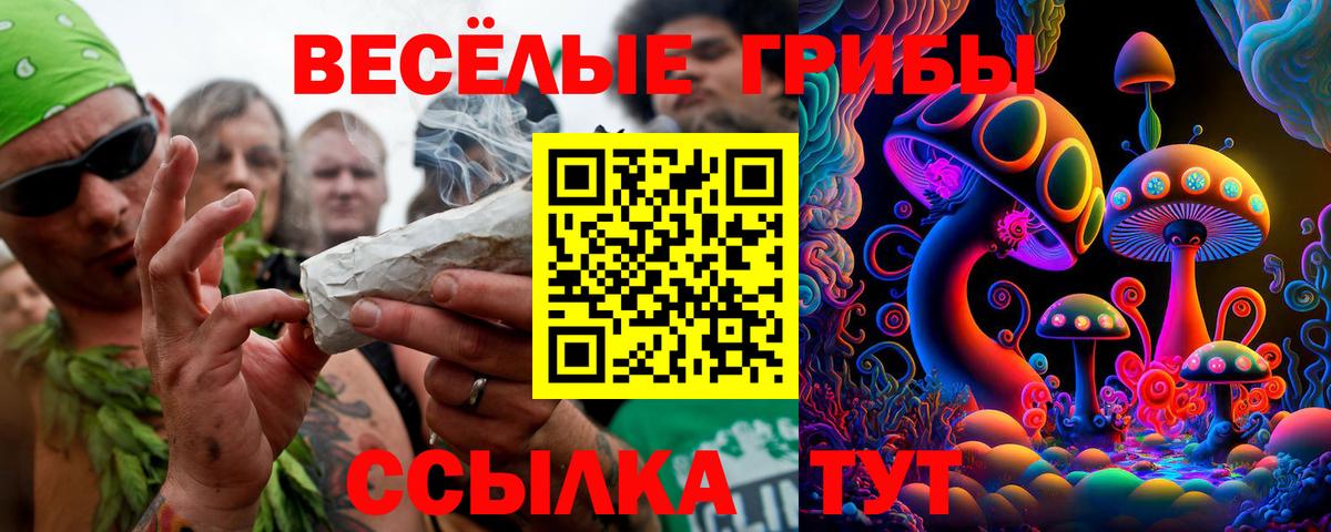 Псилоцибиновые грибы мухоморы  Вход с VPN  Зима 