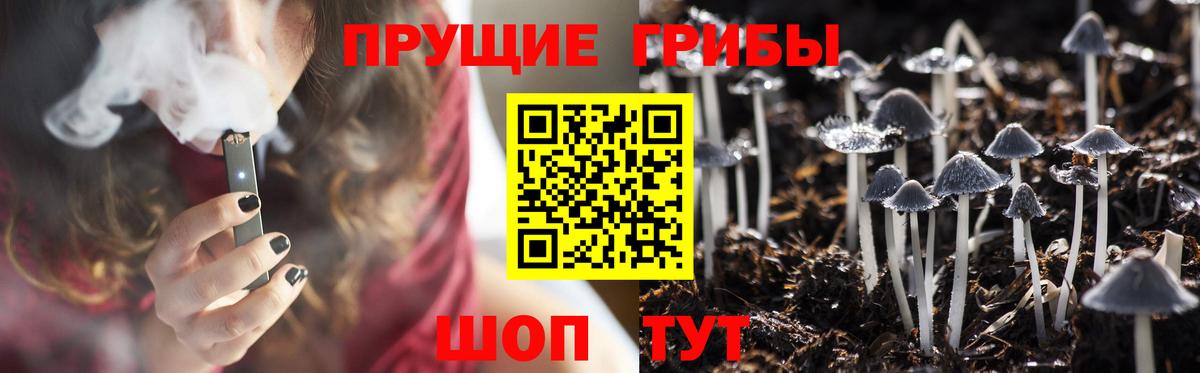 Галлюциногенные грибы Cubensis Зима