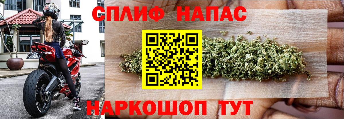 МАРИХУАНА SATIVA & INDICA Зима